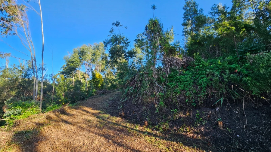 Commercial Property for Sale in Sedgefield Rural Western Cape